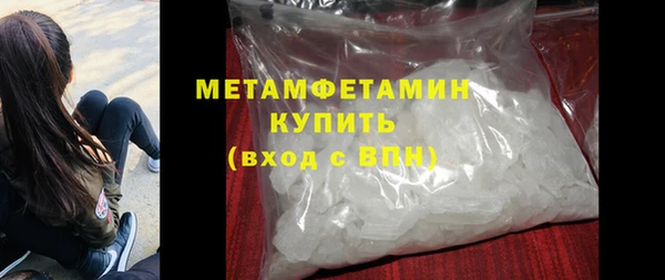 сатива Инта