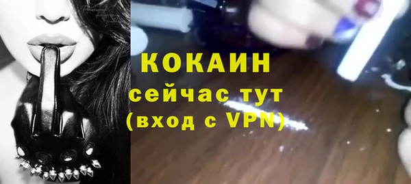 сатива Инта