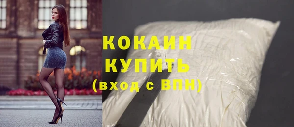 сатива Инта