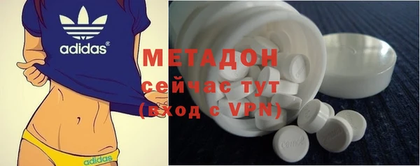 сатива Инта