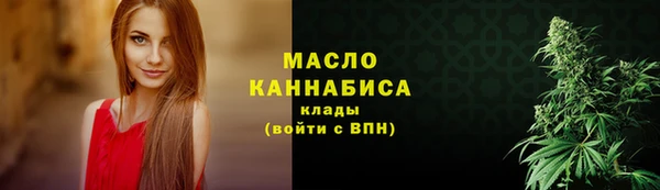 сатива Инта