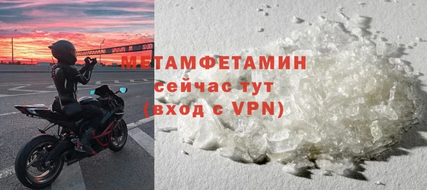 сатива Инта