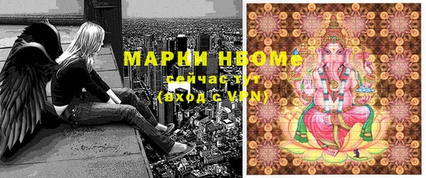 сатива Инта