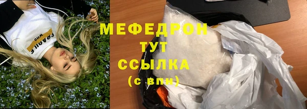 сатива Инта