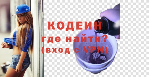 сатива Инта