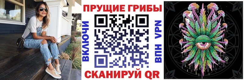 Купить закладки Северодвинск Галлюциногенные грибы мухоморы
